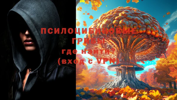 наркотики Алексин