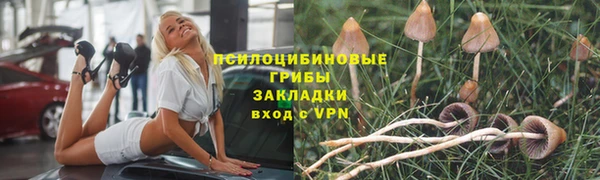наркотики Алексин