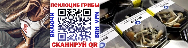 Псилоцибиновые грибы Psilocybine cubensis купить наркотик Георгиевск