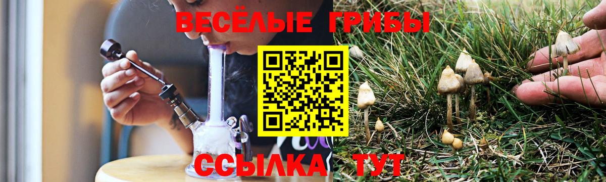 Псилоцибиновые грибы мухоморы Георгиевск