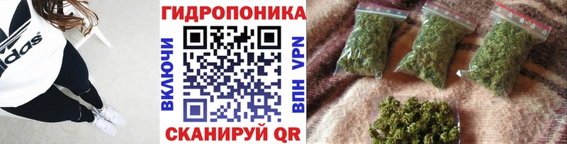 МАРИХУАНА семена Георгиевск